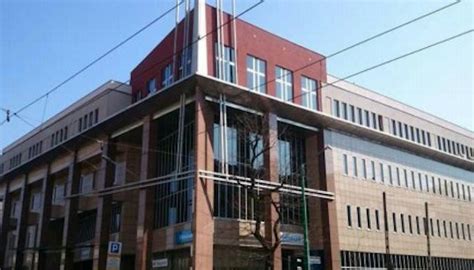 senexus|synexus poznań głogowska 31 33.